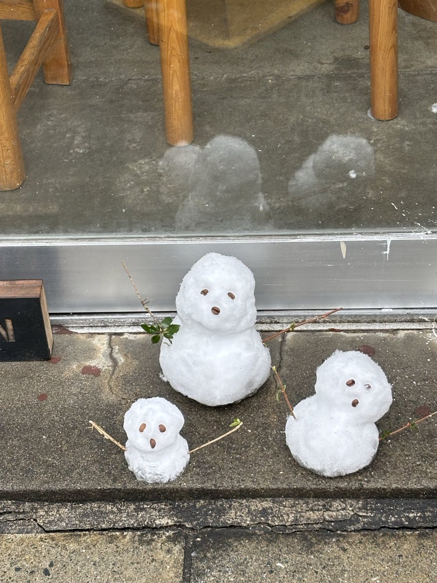 東京積雪3cmの雪だるま達⛄️ 3だるま三様😆