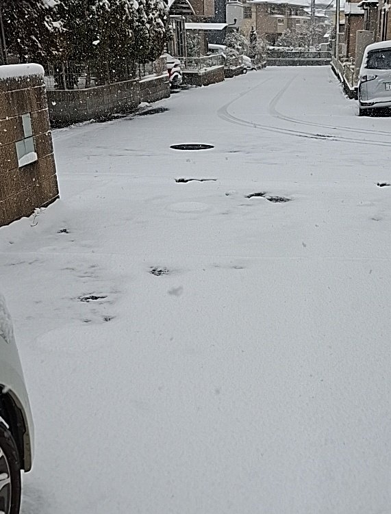 朝8:00すぎ
投票所に行ってきます