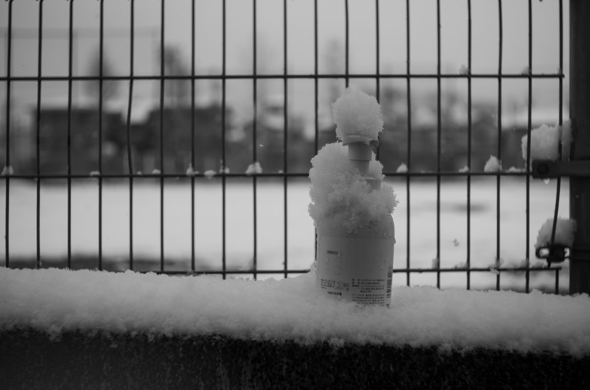 投票ついでに雪の風景を撮影。
Leica M10Monochrom ＋ Hektor 2.5/50