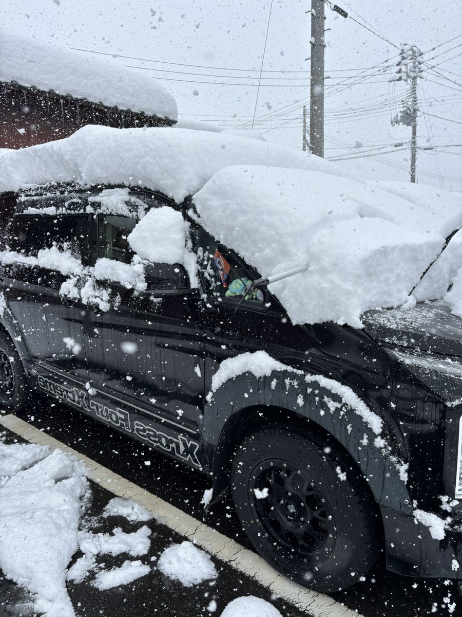 お前雪国に住んでないだろってクソリプがあったので、今朝のマイカーの写真載せときます。