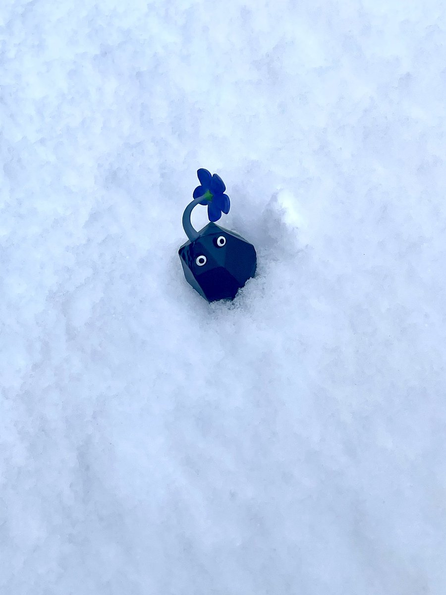 かつき🪅 tweet media