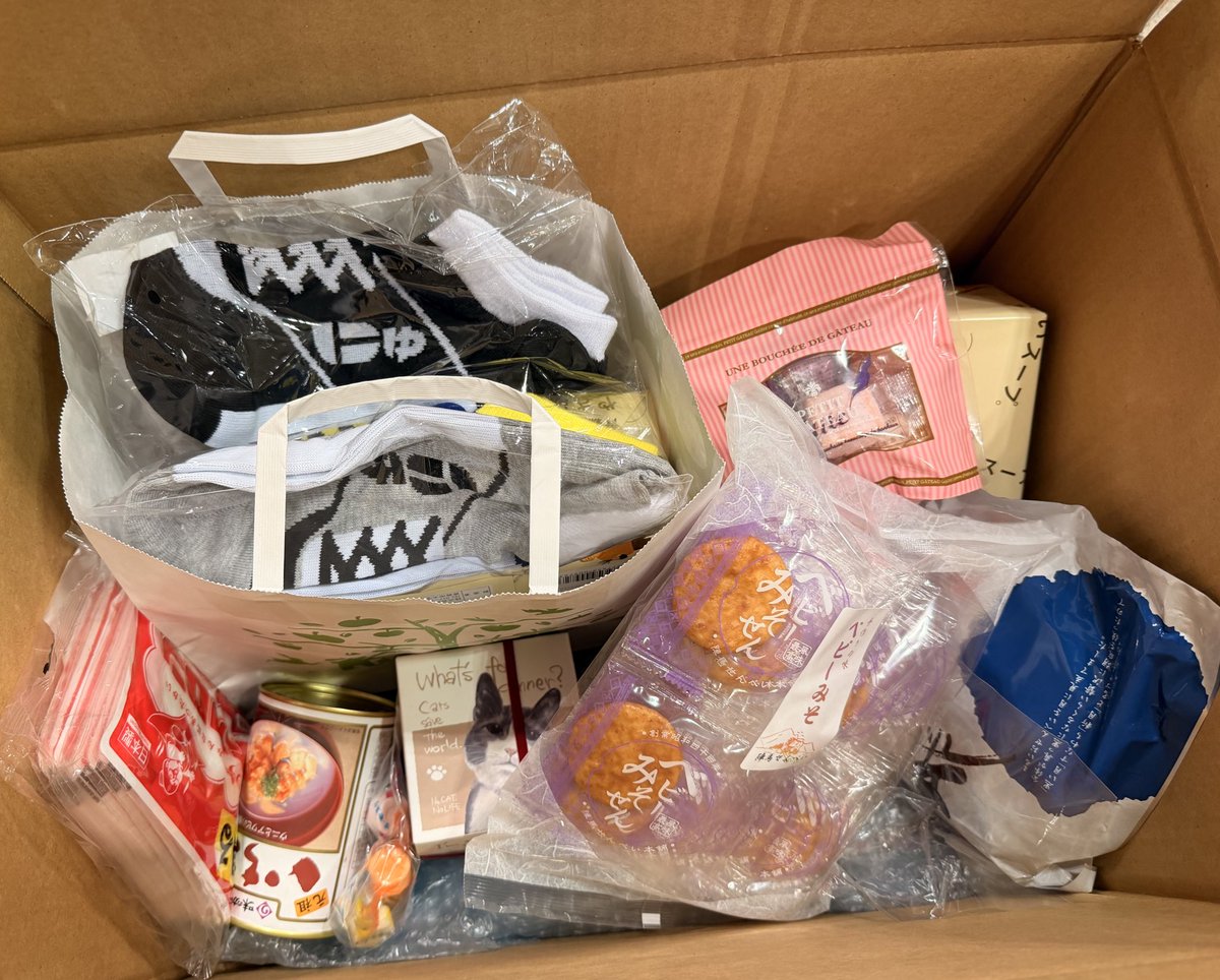 意識他界系@WF2-11-04 (@kusukusu723) / Posts / X