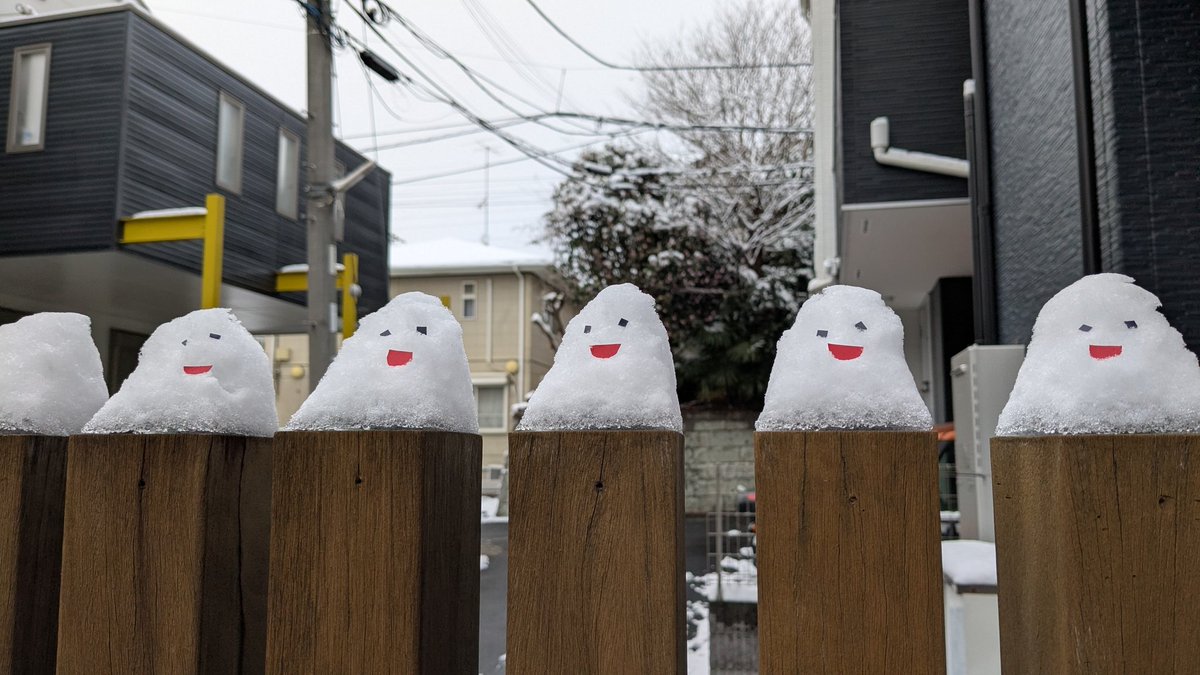 coiyopocoiyo's tweet photo. 雪が融けてきたんで気持ち掃除しててふと格子の柵見たら何かがスポーンしてた。。
選挙の投票でもしに行きますかね！ https://t.co/HYKIi8JNTe