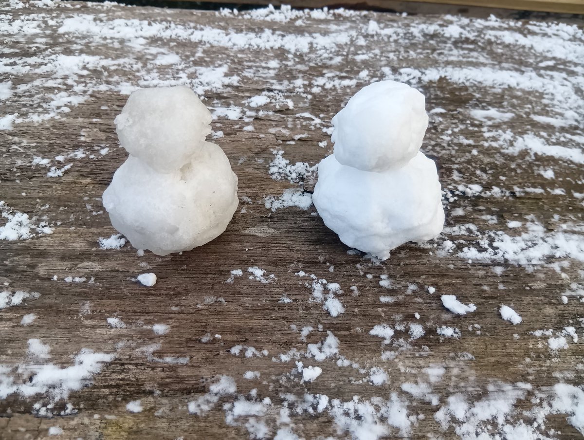 雪ちょっと積もってたから雪だるま作った✌️