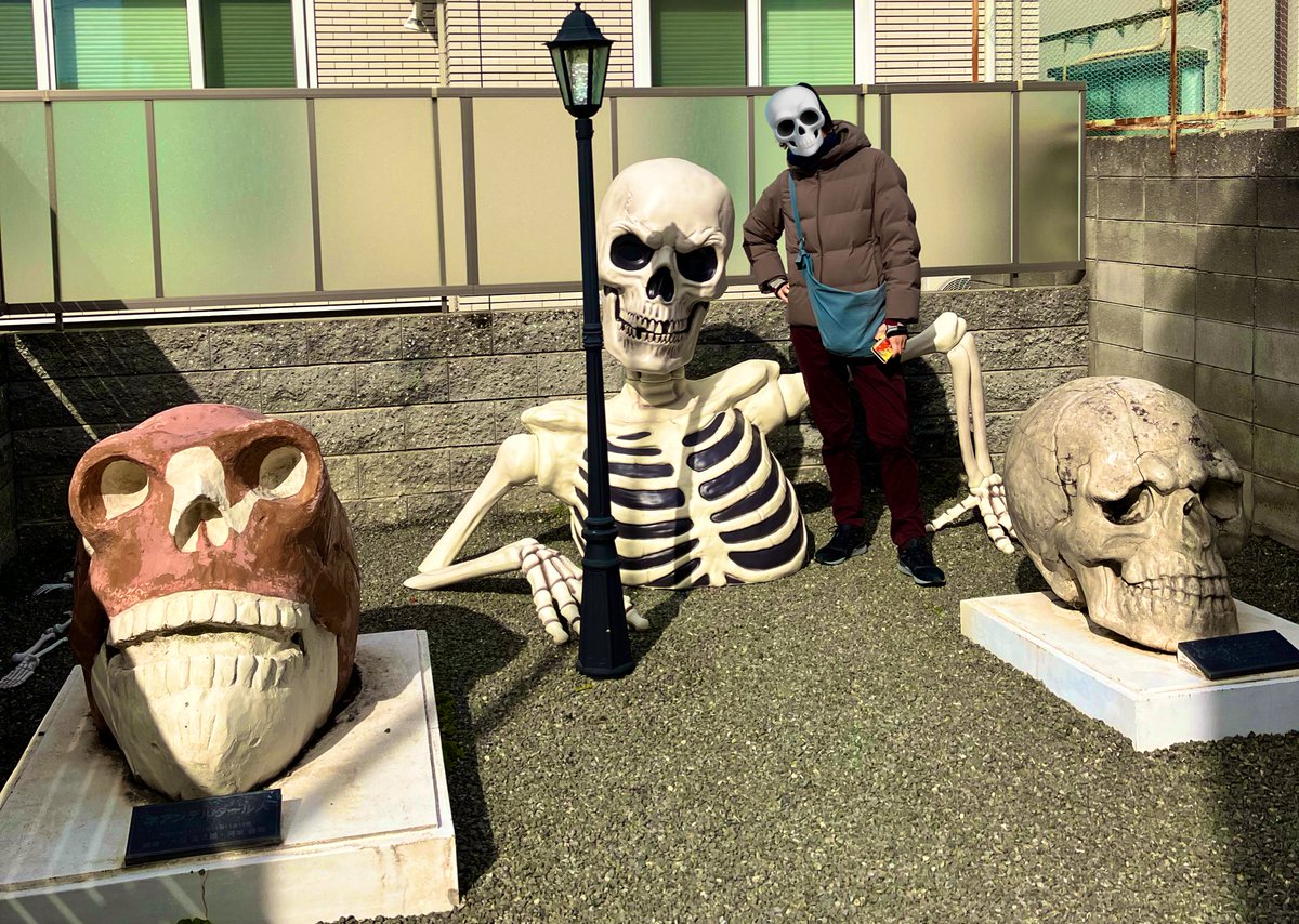 シャレコーベ・ミュージアム (@skull_museum) / Posts / X