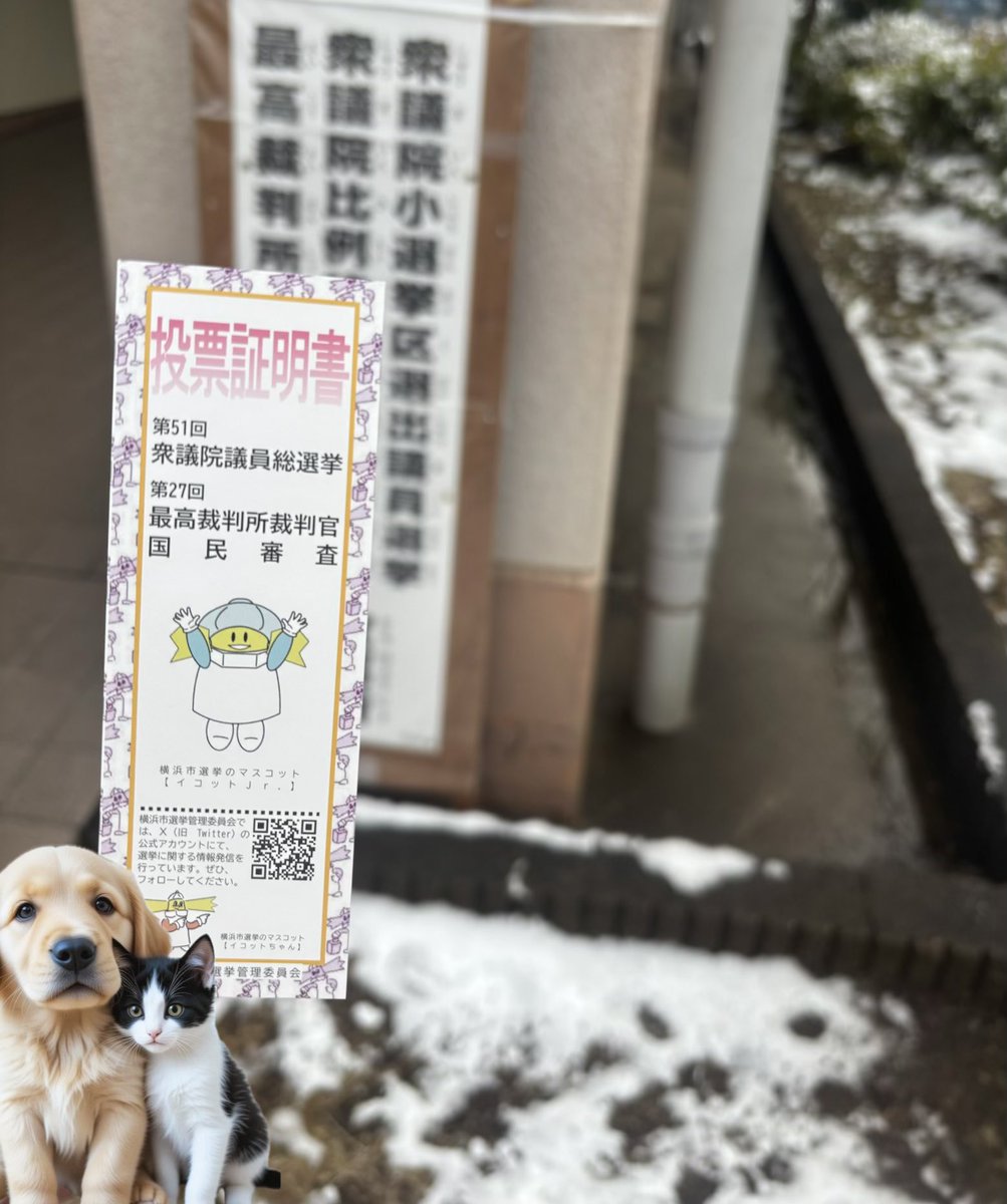 KRSARS__'s tweet photo. 外は冷凍庫みたいな寒さ❄️
毛糸の帽子に手袋、マスクで完全防寒の人ばかり。
小さな梅も咲き🌸
🐶ちゃんたちも足にカバーを履いていて可愛かった。
雪は溶け始めてるけど、夜はアイスバーンになりそう🍨
足元注意ですね。 https://t.co/LER3m9ijxE