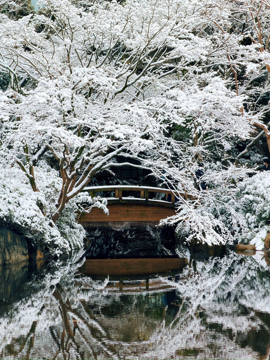 день, когда в столице наконец-то выпал снег так, чтобы превратить весь окружающий мир в белое холодное царство.