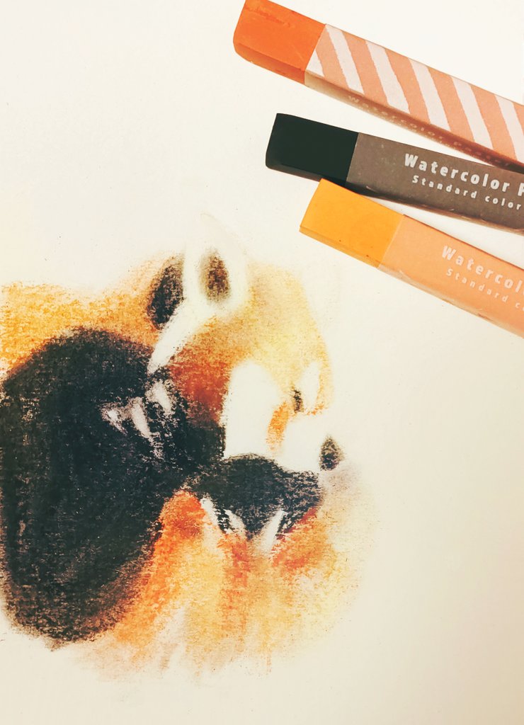 セリアで売ってた3色のパステル。レッサーパンダを描く以外の用途が