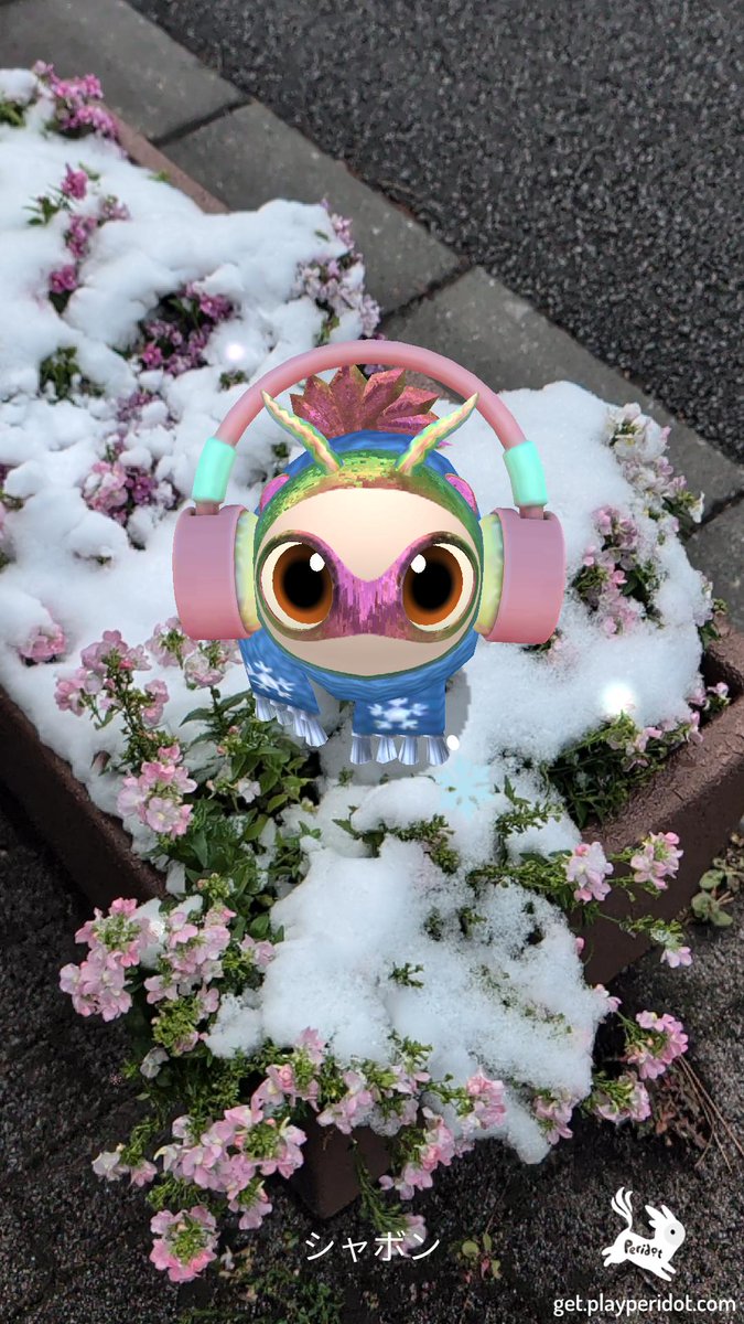 _dotkawaii's tweet photo. 投票完了！
今日選挙じゃなかったら家出てなかったかも〜

ドットちゃんと雪の写真も撮れてハッピー🤗
#playperidot https://t.co/Ixg1kESCS1