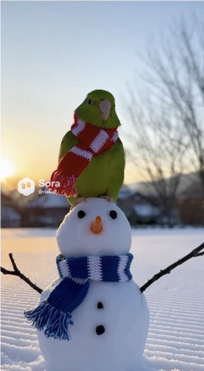 青空が見えてきた😊

#AIピーちゃん