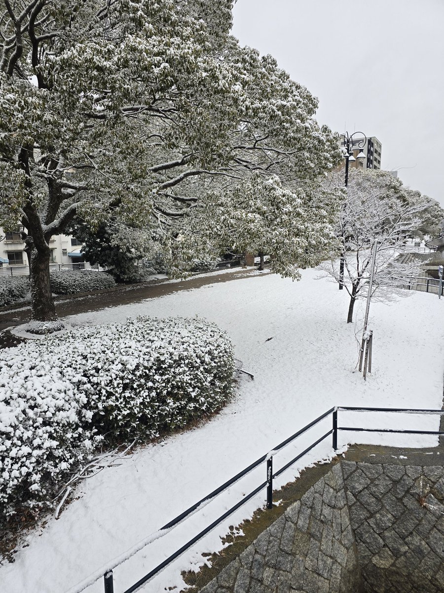 雪の中また2キロくらい歩いてホテル帰りました！
今日も広島泊です😌