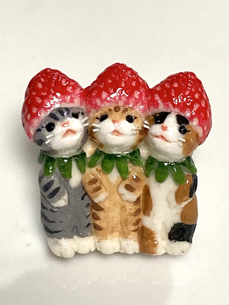 にゃん太郎 (@nyannyan__taro) / Posts / X