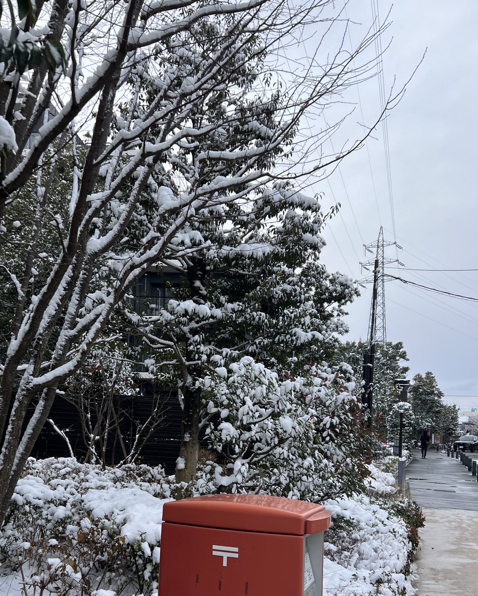 こんなに雪降られますか東京も😲
오리집게 가져올걸!
