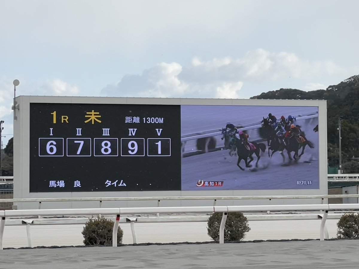 お馬さんが走ってるのが見たかったから
初めて高知けいばに行ってみたニャ！

とりあえず記念に1レース…っと
お馬さん頑張ってニャ〜！٩( 'ω' )و

結果は入場料込みで　△400円（笑）
次は暖かくなったら行くニャ〜
雪降り出して寒いニャ〜

#ぬいぐるみの時間
#ぬい活