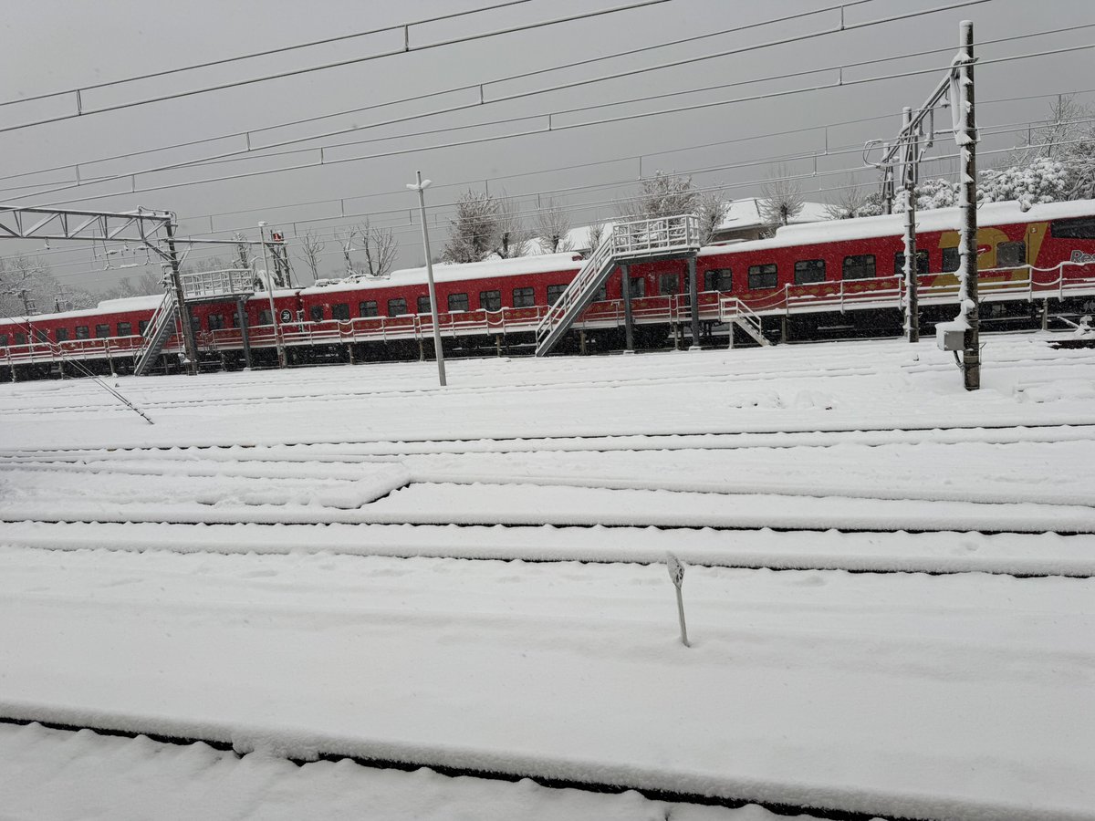 伊豆でこんなに雪は初めて見た。
運転見合わせ中......