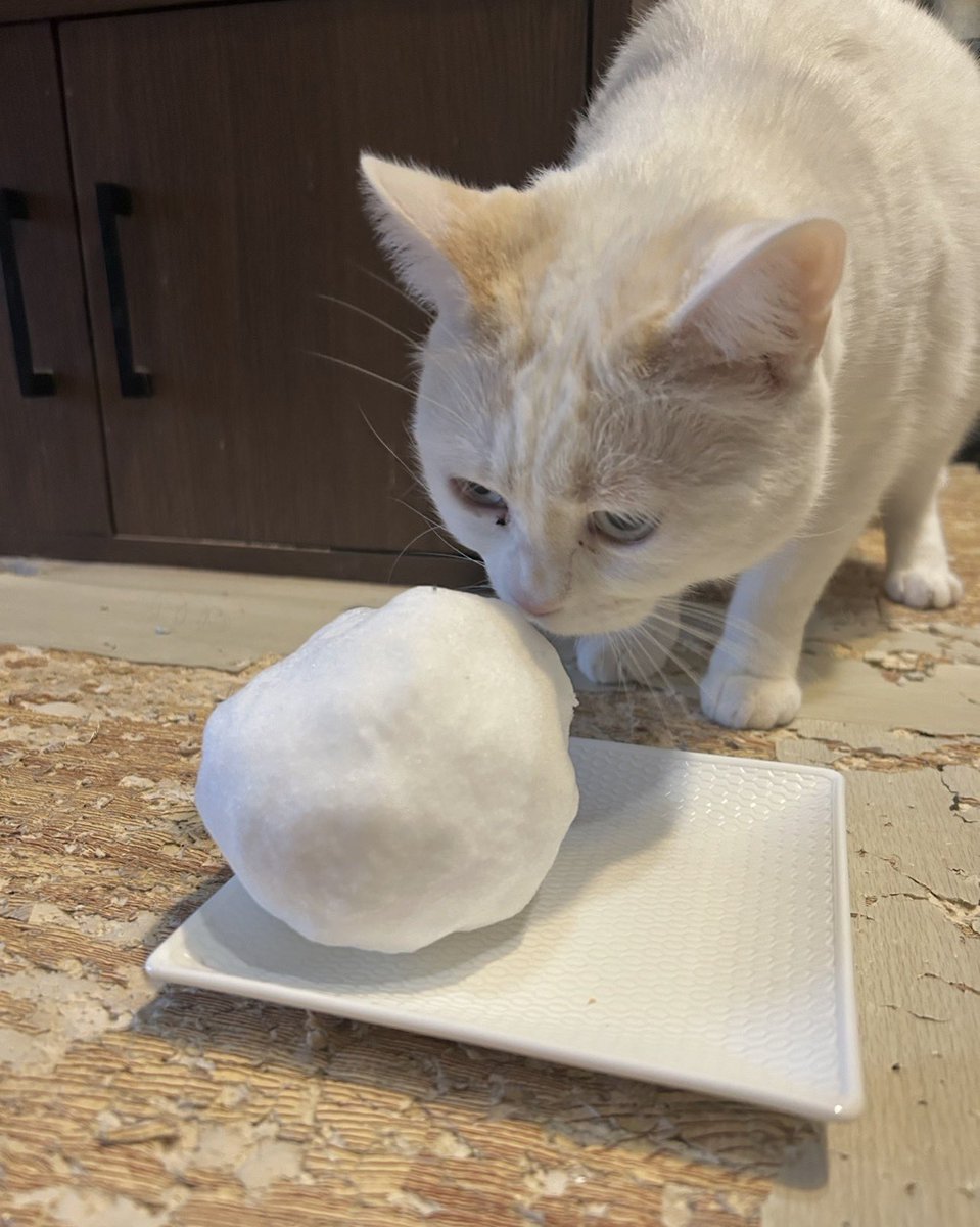 喜惣衛門(きそえもん) (@kiso_bluedrop) / Posts / X