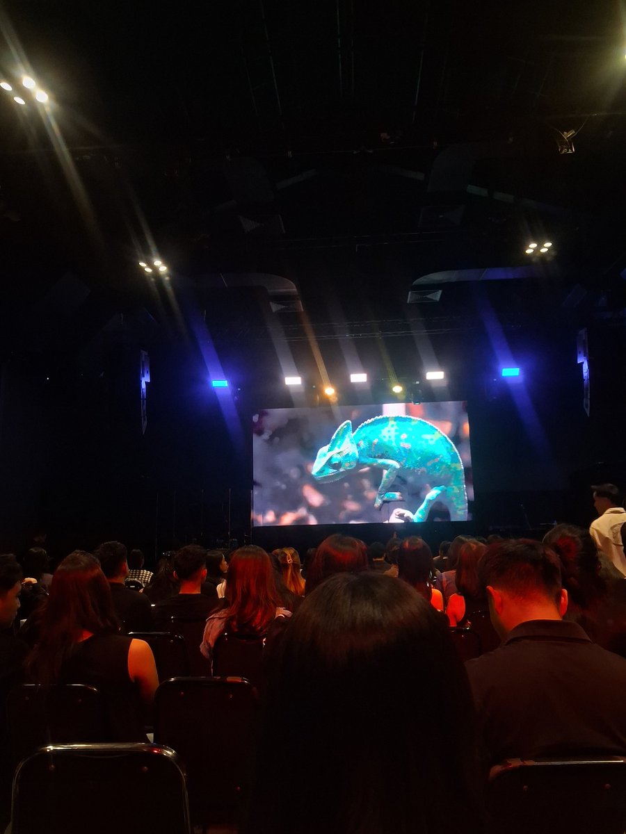 🍁ELsa tweet media