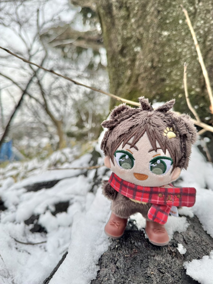 amatan_le's tweet photo. ビッグサイトから帰ってお昼寝してから、ぬいぴのくまちゃんと投票に行きました https://t.co/A7exCLd4D3