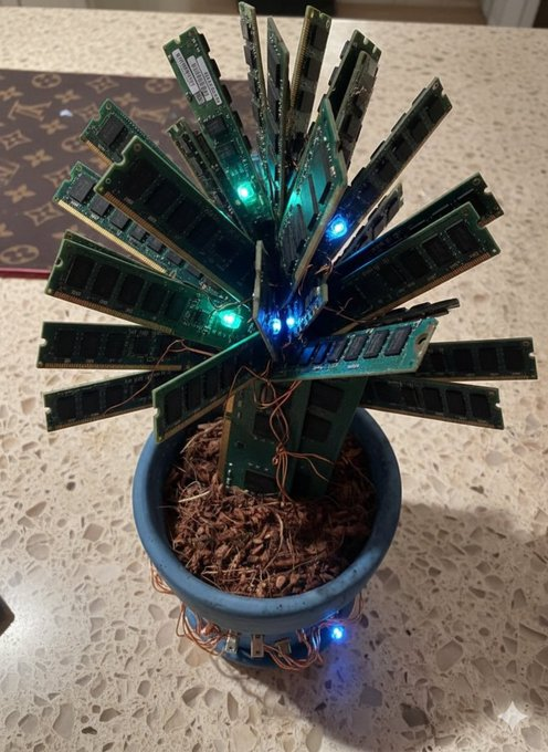 nalinrajput23's tweet image. Day 10th of growing RAM