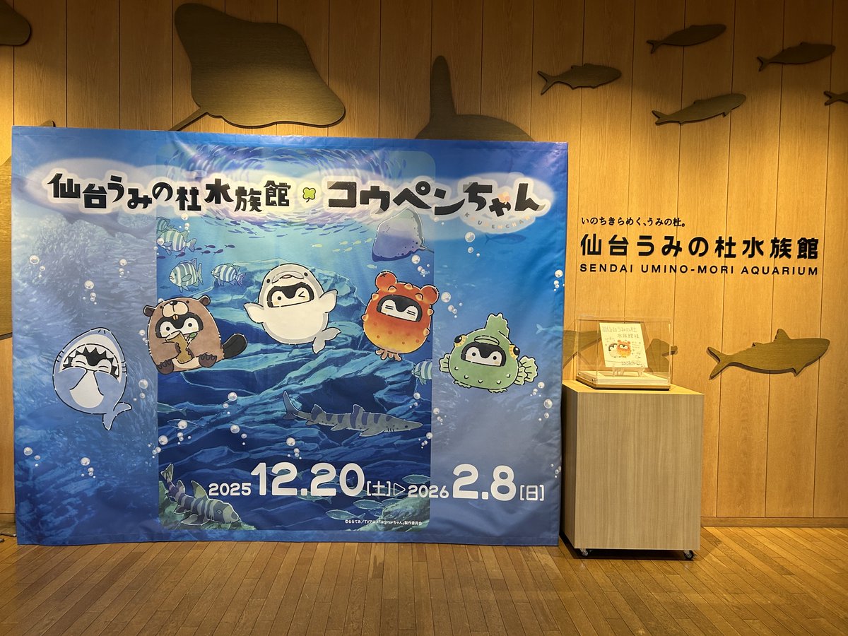 たぬちゃん (@tamuchanpon) / Posts / X