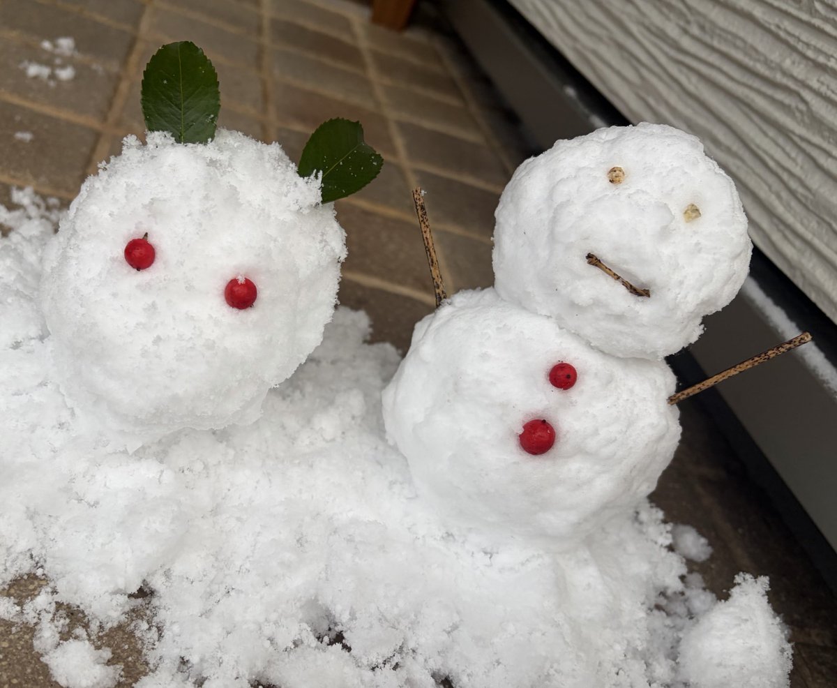 ハクア tweet media