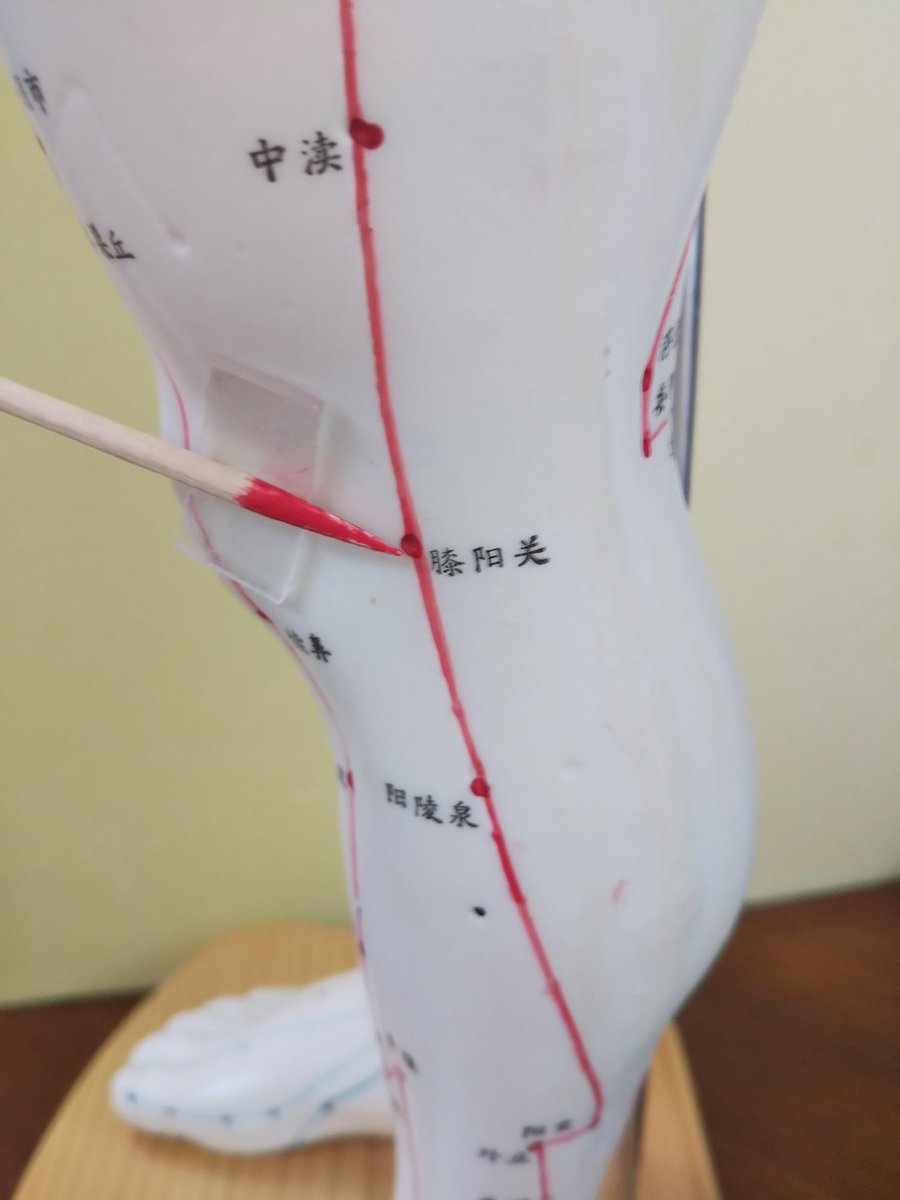koji_yamada_7 tweet picture