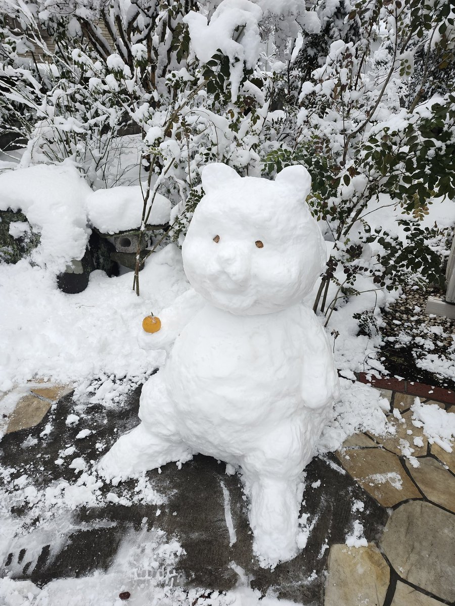 しらす tweet media