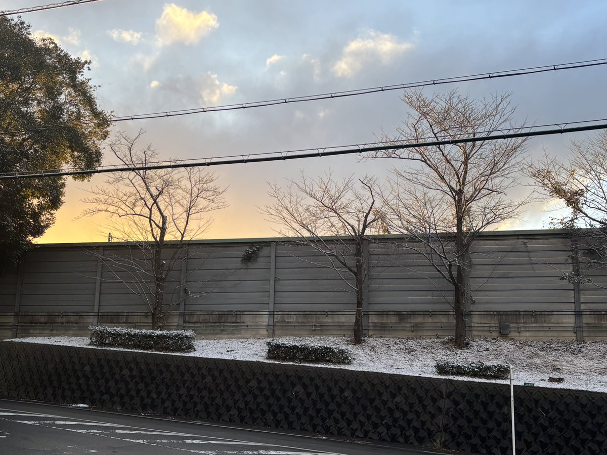 ぴい tweet media