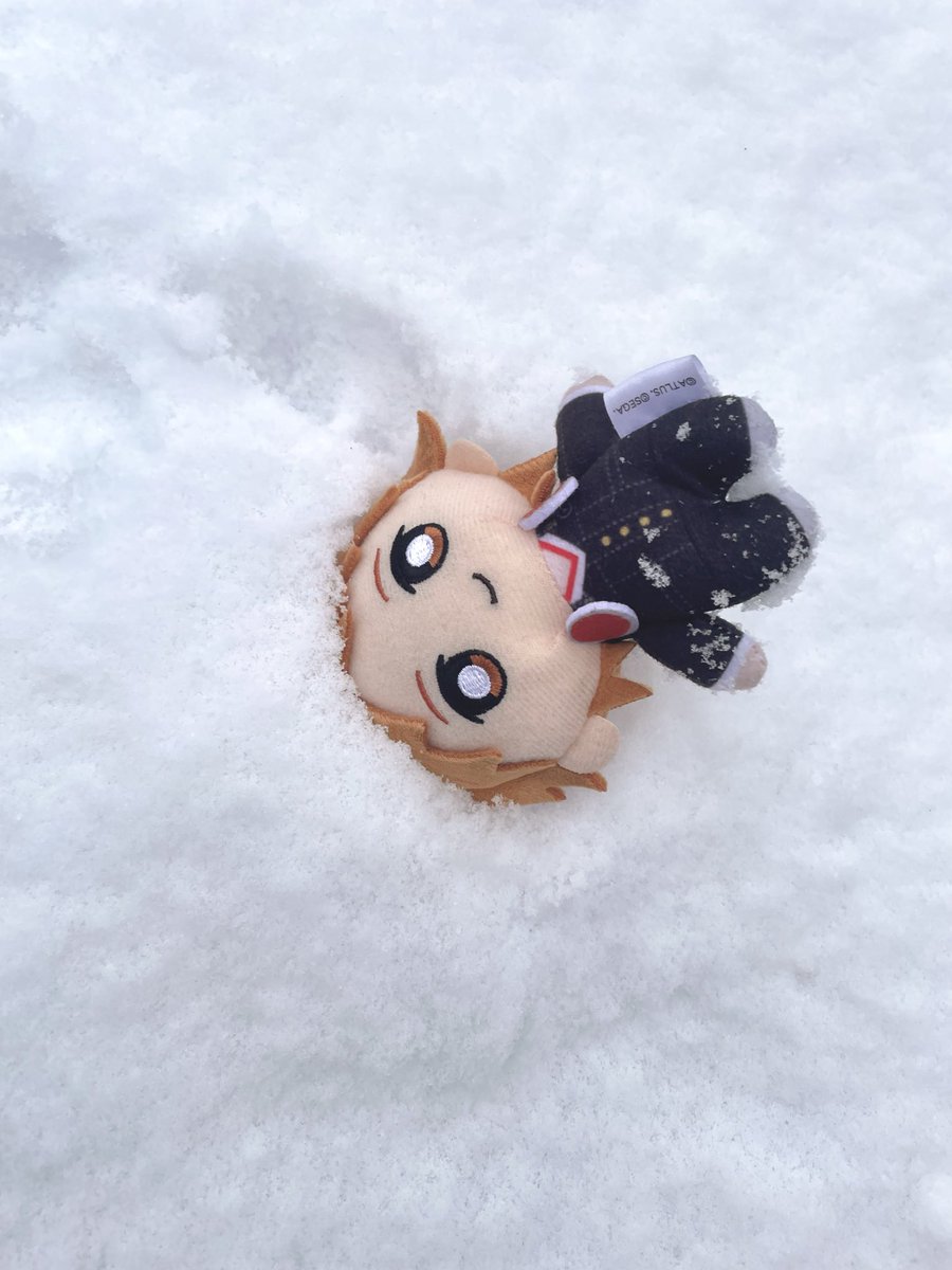 ひっかきキズ (@omisoshiruomimi) on Twitter photo 