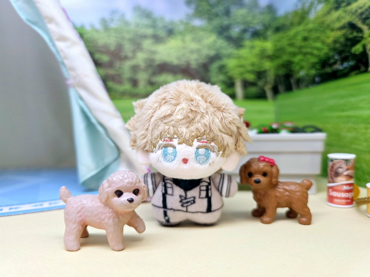 푸드르르르르를 🐶