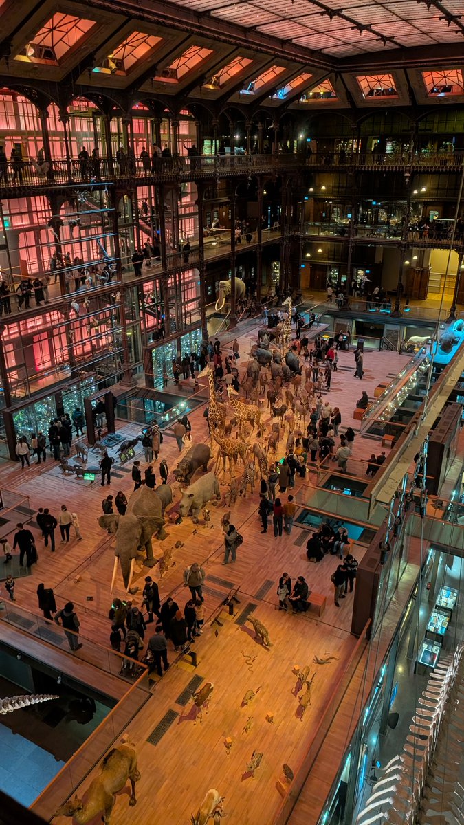 Seb Master 💸 tweet media