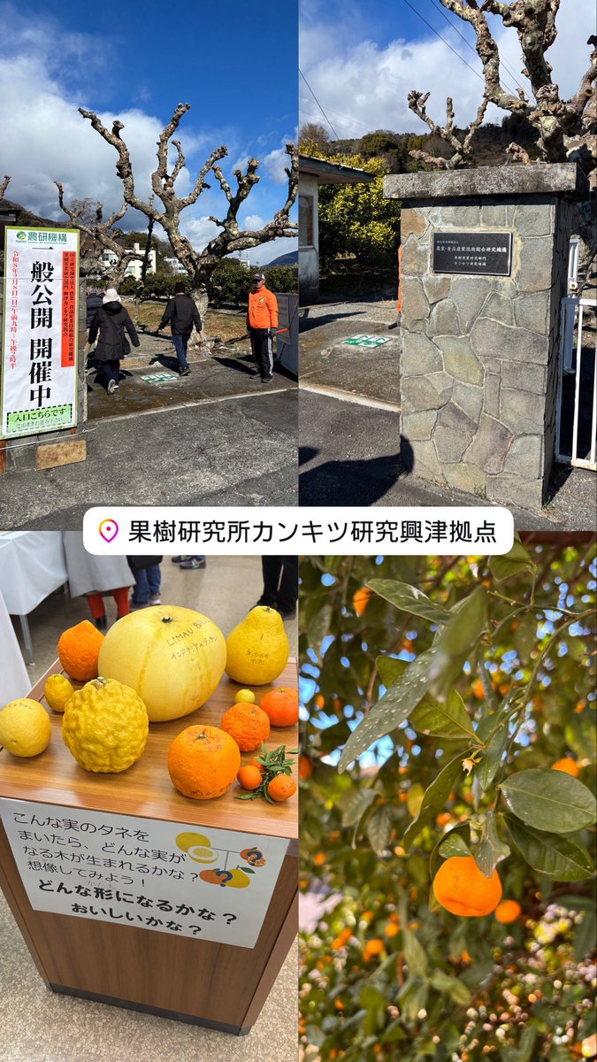 みかんノート (@mikanflavor1) / Posts / X