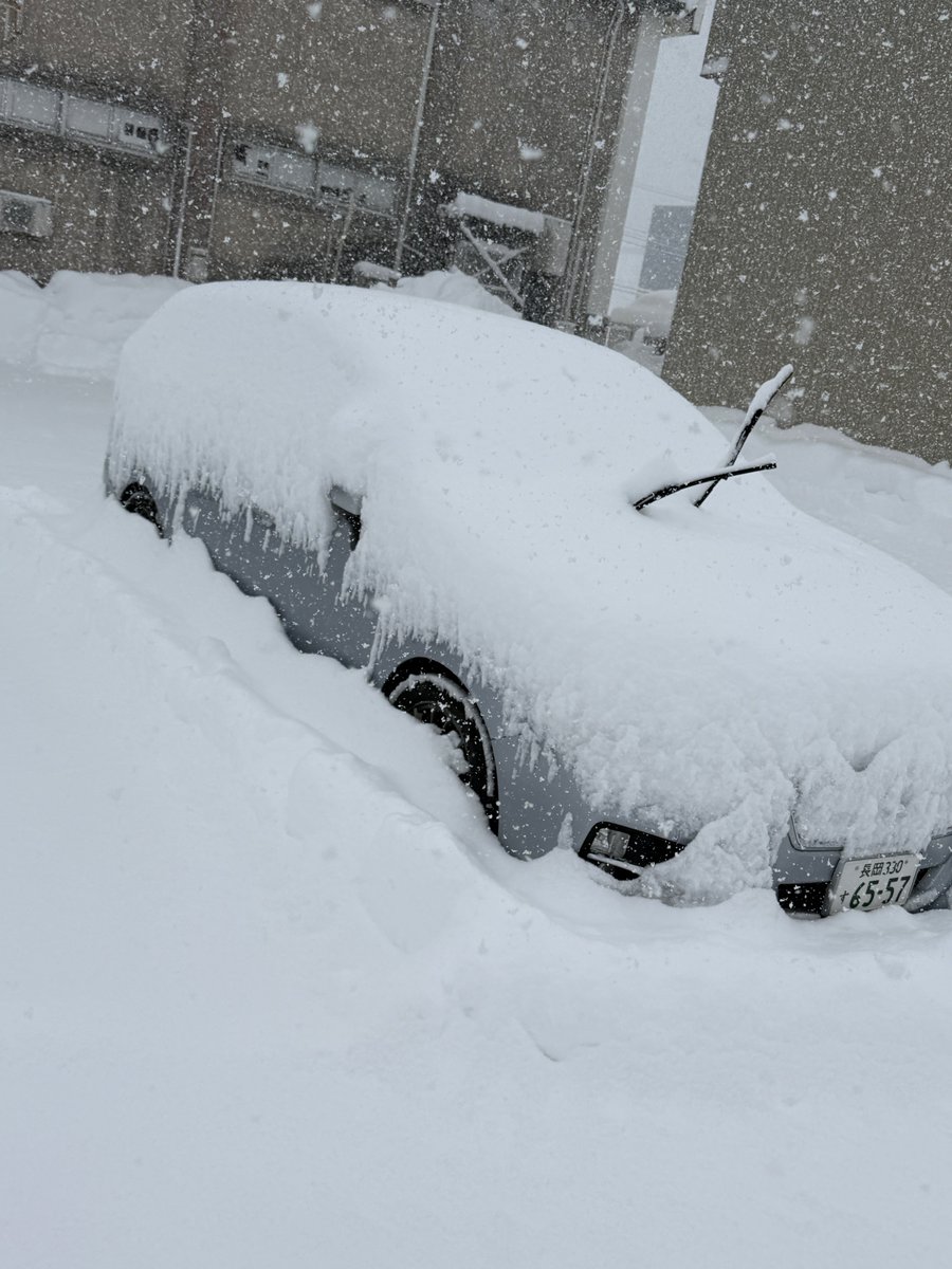 @rugotci tweet media