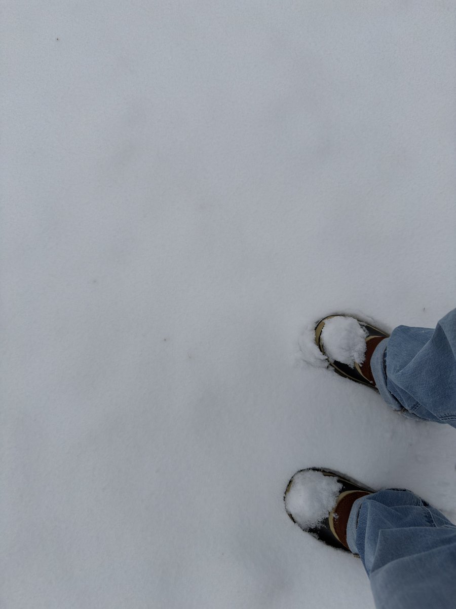 選挙前に雪降る中を散歩してたら足にちょっと雪積もった
トッケビの雪のシーンを思い出しながら