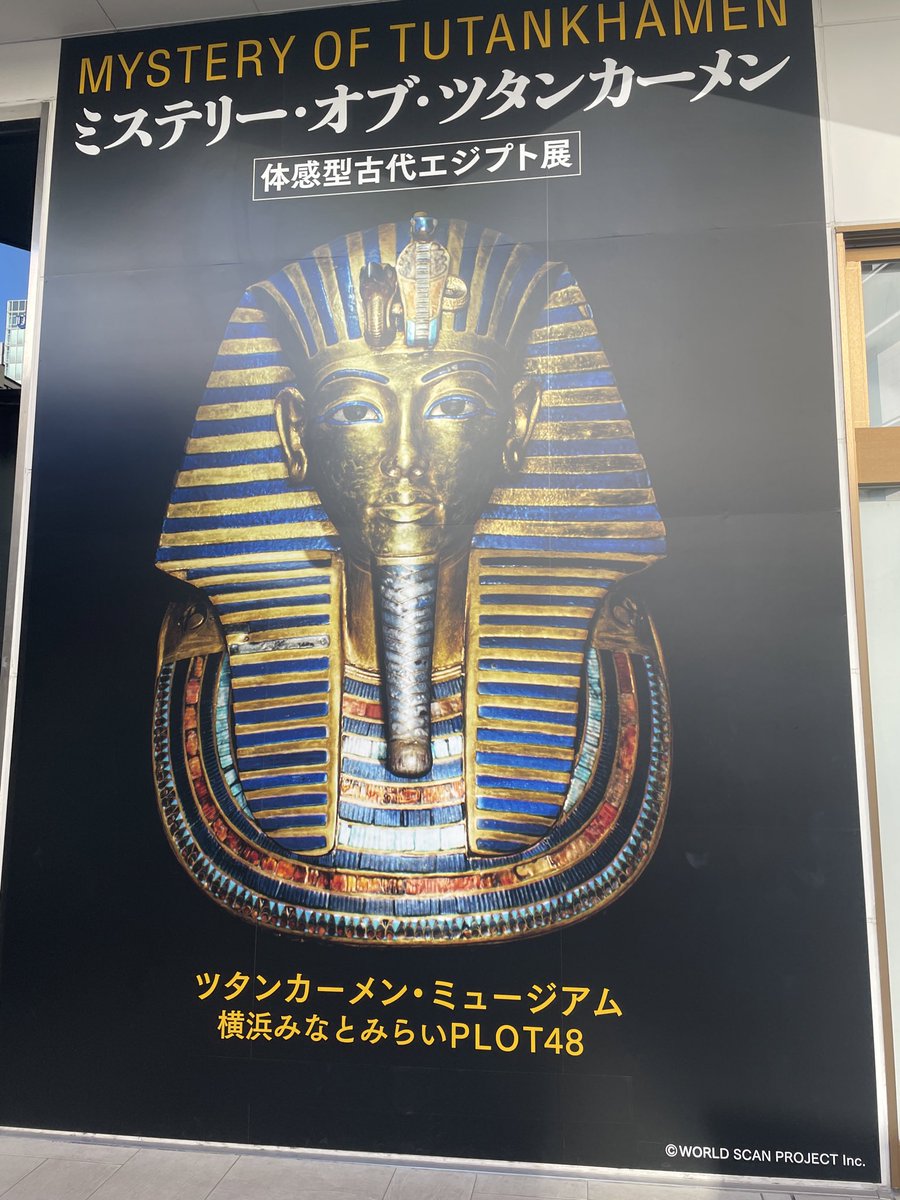 fuichan731's tweet photo. イルーシーとしまむらでコーギーグッズを買い漁り、今日は雪で寒いしでしまむらでゲットしたコギ枕をおろしました。可愛すぎ、ちょっとずつつ大事に使っていこうと思います。
あと少し前エジプト展行って来た。エジプト凄い！お土産は御座候を。

#コーギー　#イルーシー　#しまむら
#御座候 https://t.co/rTKHkpiYmV