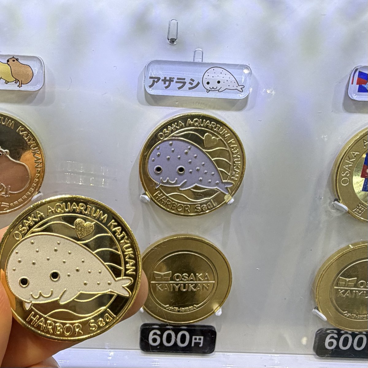 アザラシの記念メダル前からありましたっけ？うれしい刻印無料サービス