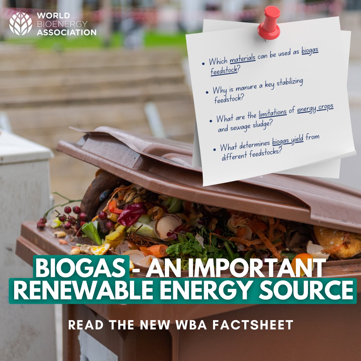 World Bioenergy Association (WBA) tweet media