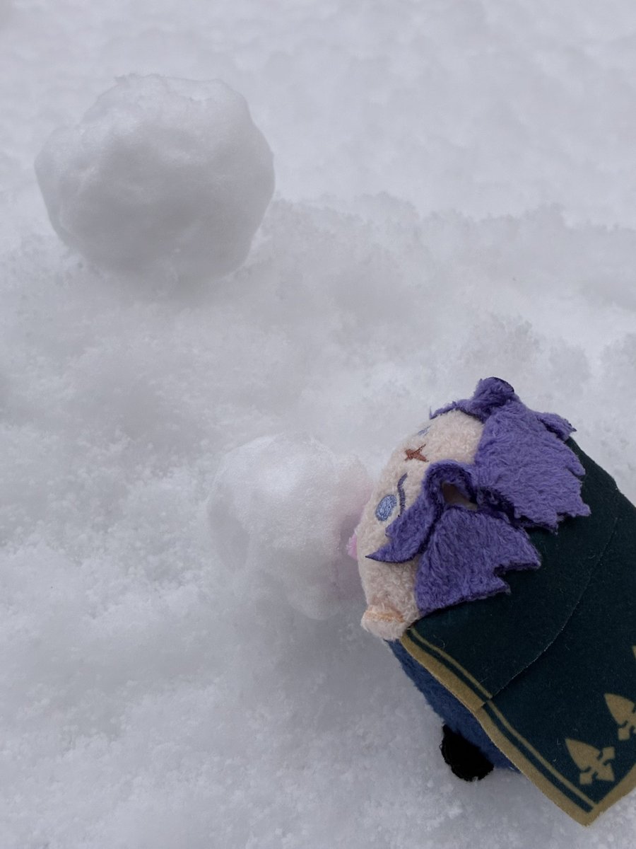 マオ｜Maomi (@Maopikmin) on X