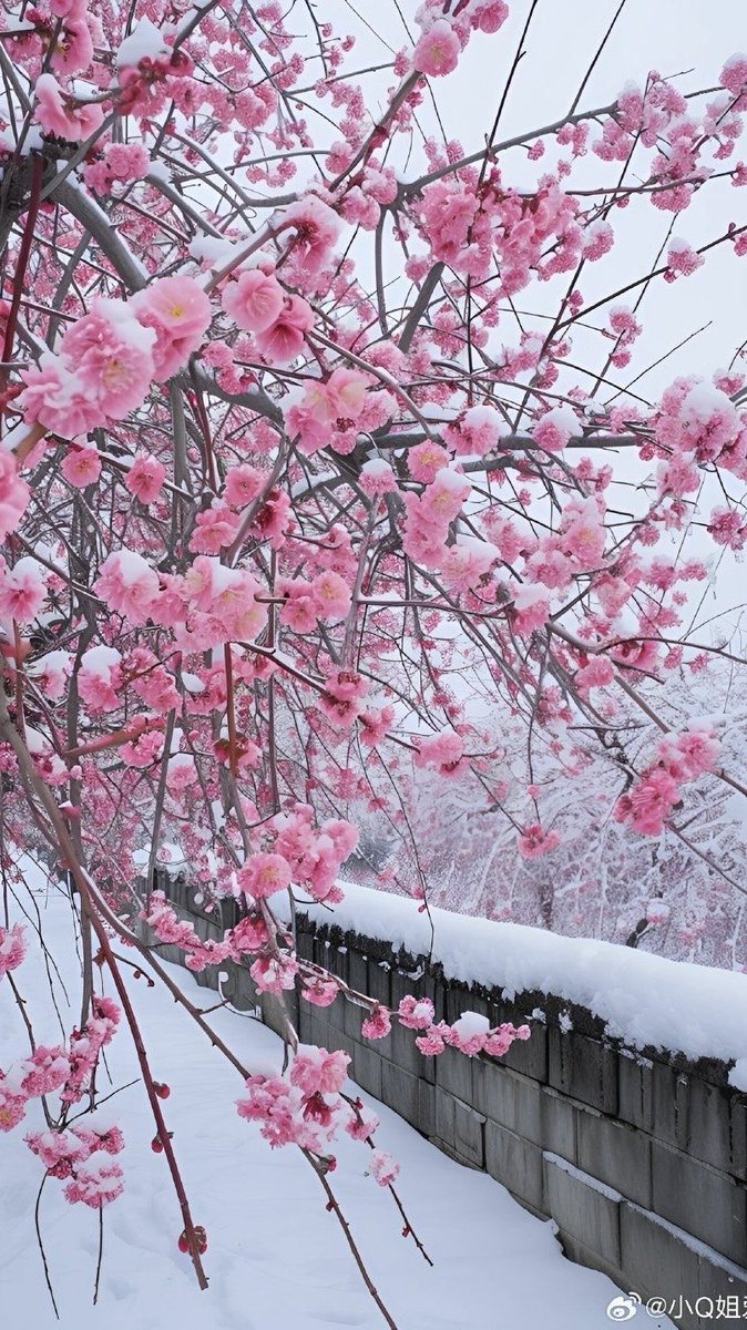 Ata Pasha tweet media