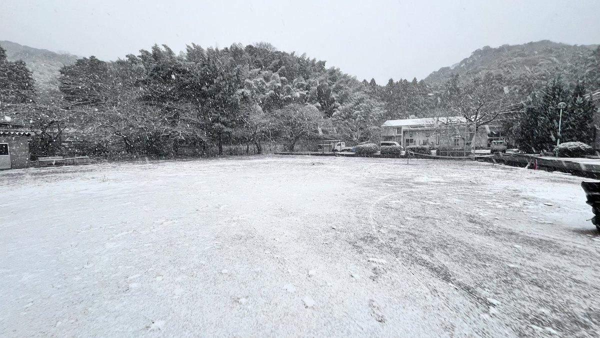 現在の白野江廃校🏫

雪景色です❄️

#白野江廃校コスプレ部 #コスプレイベント #cosplay
