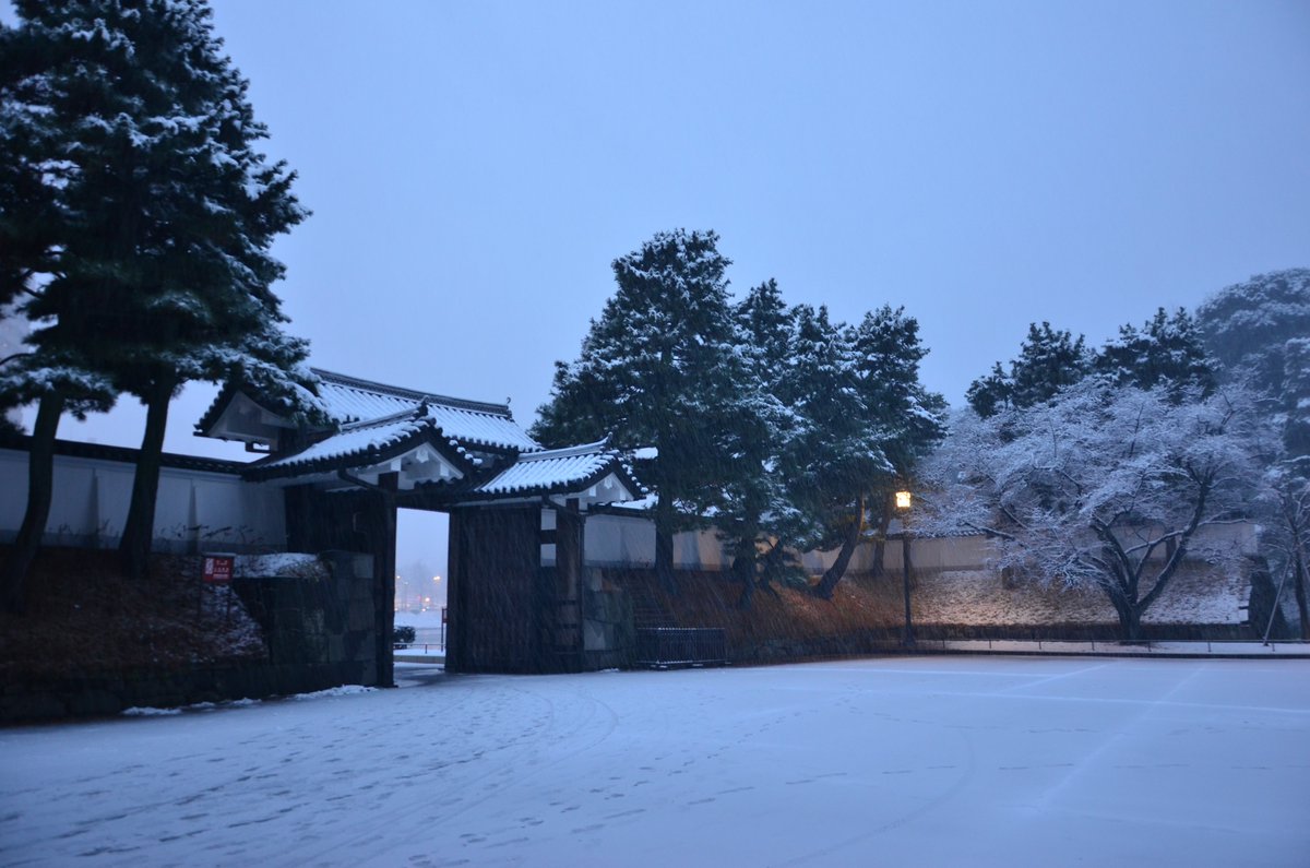 東京で雪が降ったらね、皇居前に行くといいよ。
