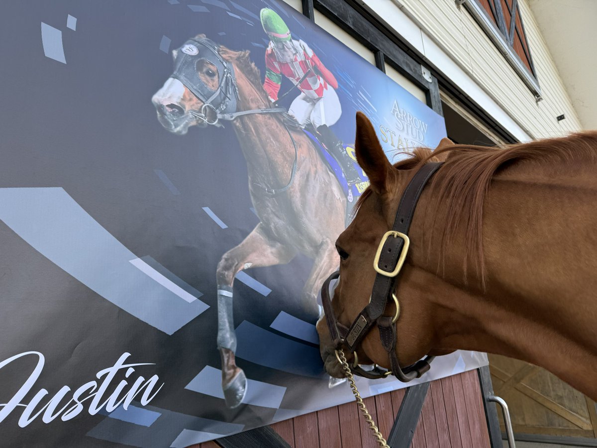 しろまる (@shiro1maru) / Posts / X