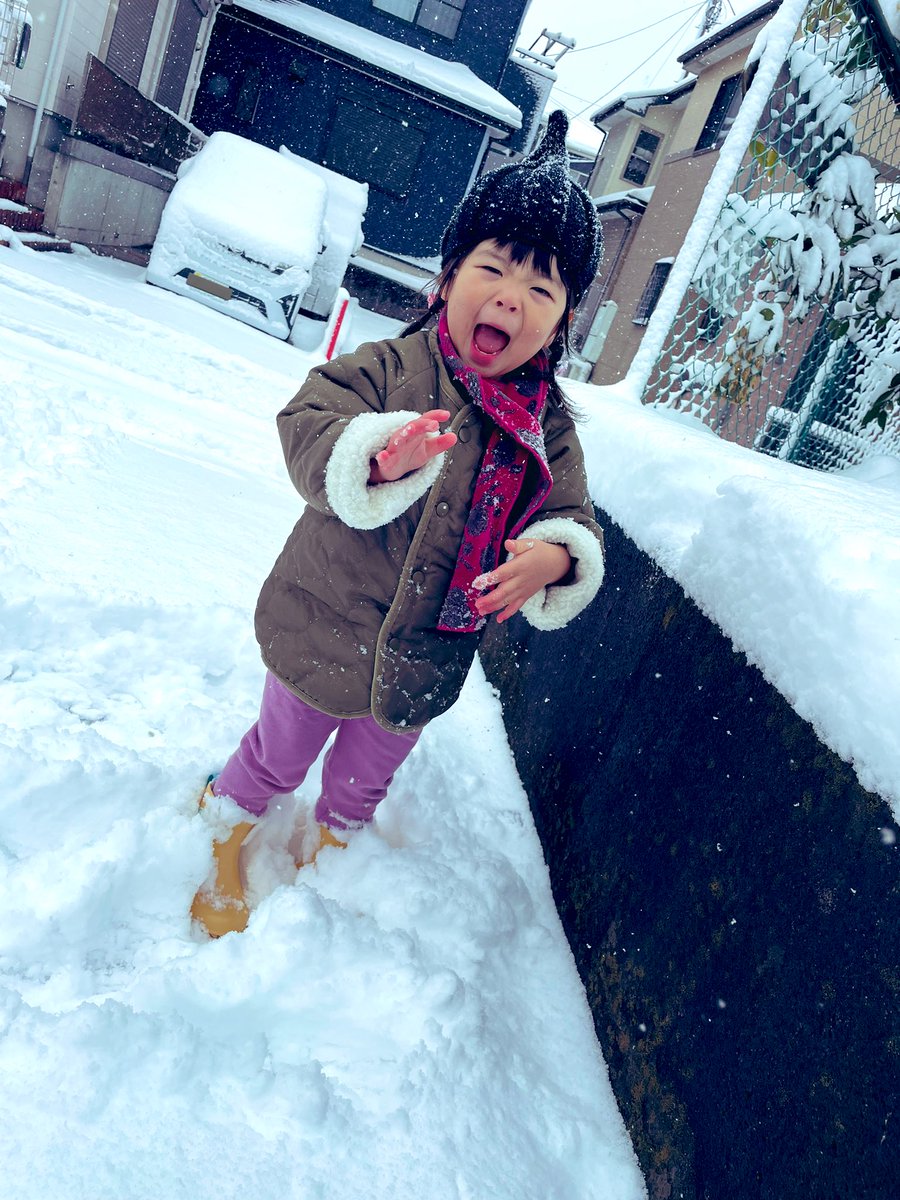 初めての雪遊び
たのしいより寒くて冷たいって
全然一緒に遊んでくれなかった！泣

じぃじ渾身の雪かきのおかげで無事帰宅
毎年こんくらいの雪降ってほしいなー