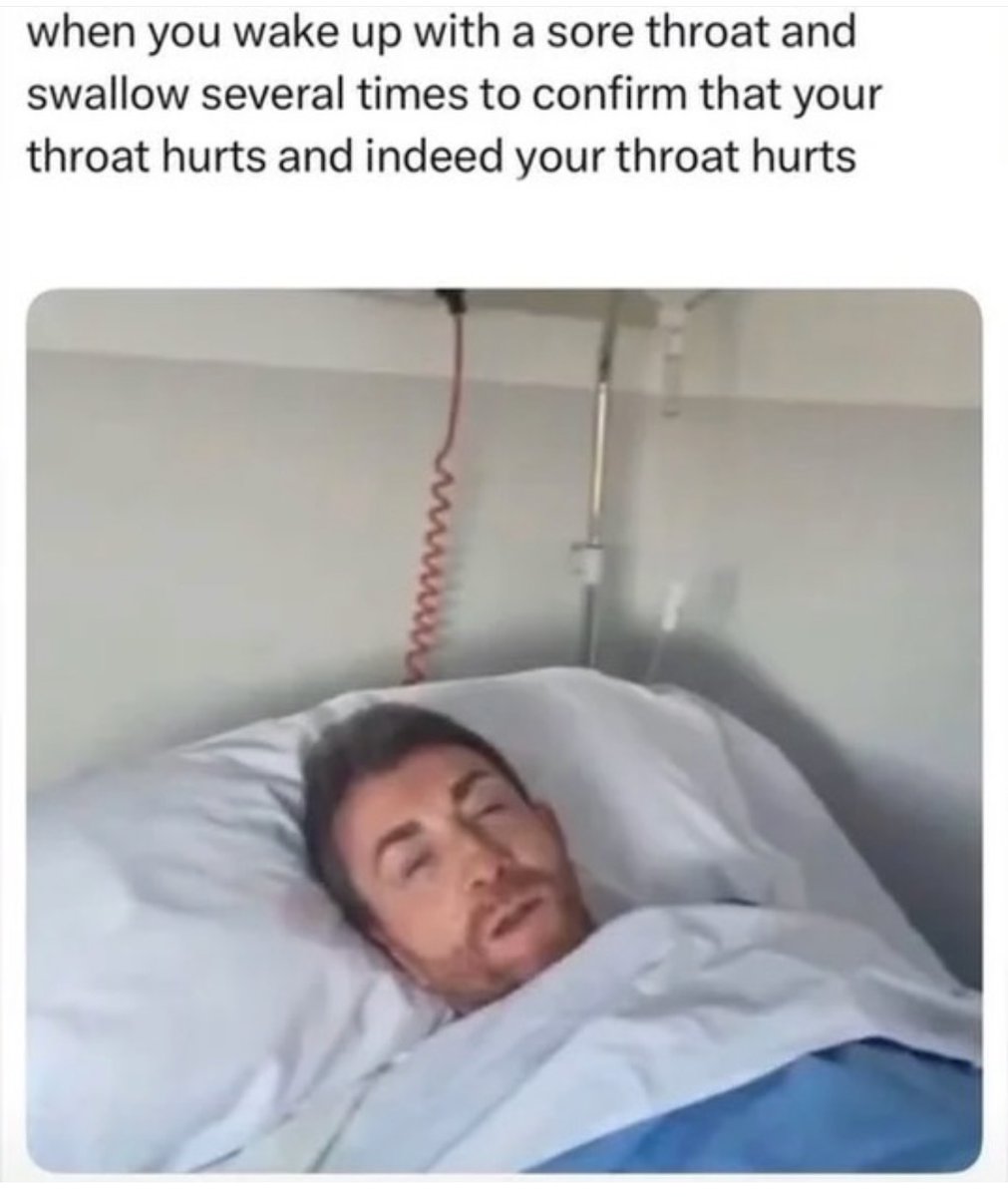 Respectful Memes tweet media