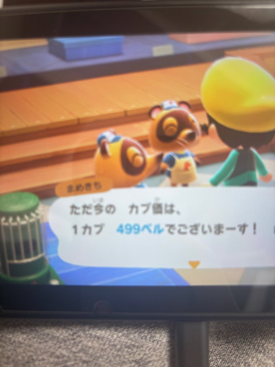 _Tasoma_ru's tweet photo. あつ森 カブ カブ価　499ベル

【求】マイル旅行券
挨拶不要、商店前に主います

⚠️マリンスーツ❌
⚠️マイナスボタン帰り❌
⚠️荒らし❌ https://t.co/jkyvUiDdlj