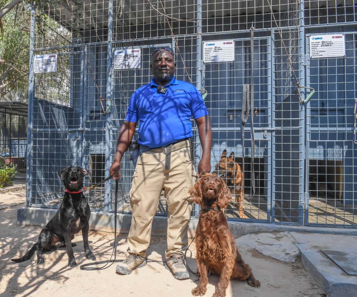 UNSOS_'s tweet photo. 🐾 Quiet heroes with powerful noses saving lives every day.
📸 Discover the photo story: "A Day in the Life of an Explosive Detection Dog in Mogadishu".

Meet Thelma🐶 & Gordon 🐕— part of the @UNMAS Explosive Detection Dog (#EDD) unit in #Somalia — working side by side with their handler, Sam.

From vehicle searches 🚗 to building inspections 🏢and open-area sweeps 🌍, Thelma & Gordon operate on the frontline, helping protect civilians, local communities, humanitarian workers & peacekeepers.

🔗 Read the full story: https://t.co/anAkcG41nx

#ExplosiveDetectionDogs #SupportedByUNSOS