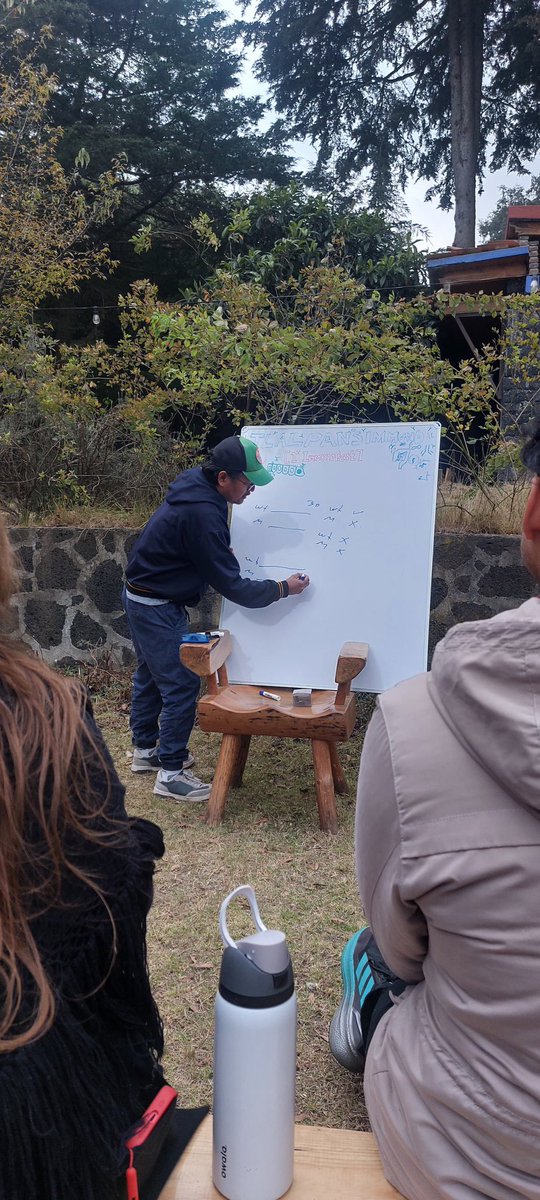 Licona-Limón P-Lab tweet media