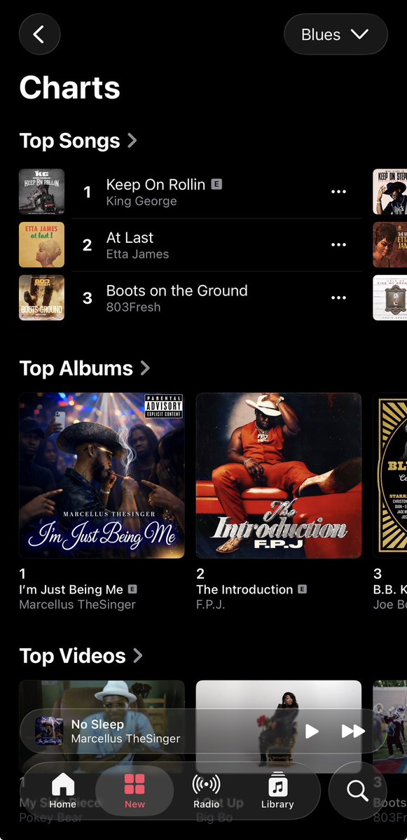 Two albums we produced on currently holding the #1 and #2 spots on Apple Music’s Blues Albums chart.

Grateful for the trust.

The Union Music Group.

#SouthernSoul #BluesMusic #MusicProducer #AlbumProducers #AppleMusic #Charting #MusicIndustry #IndependentMusic #UnionMusicGroup