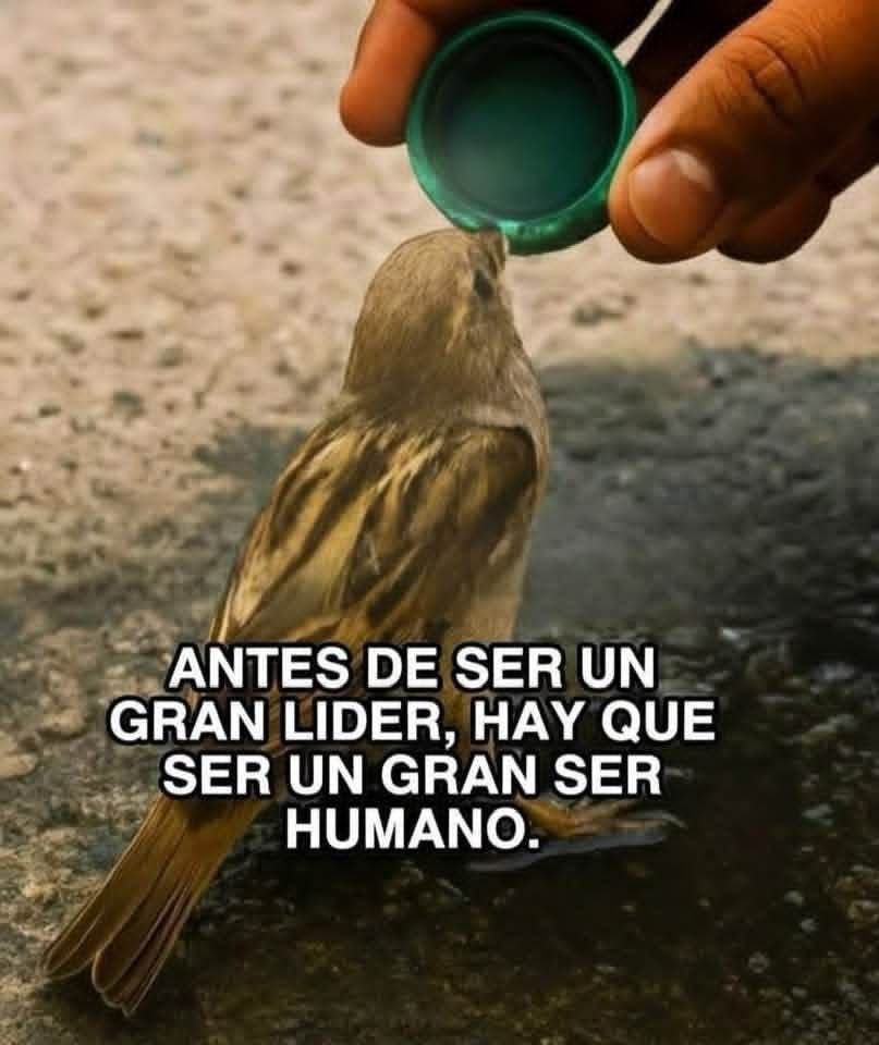 Tenlo presente. 🖤