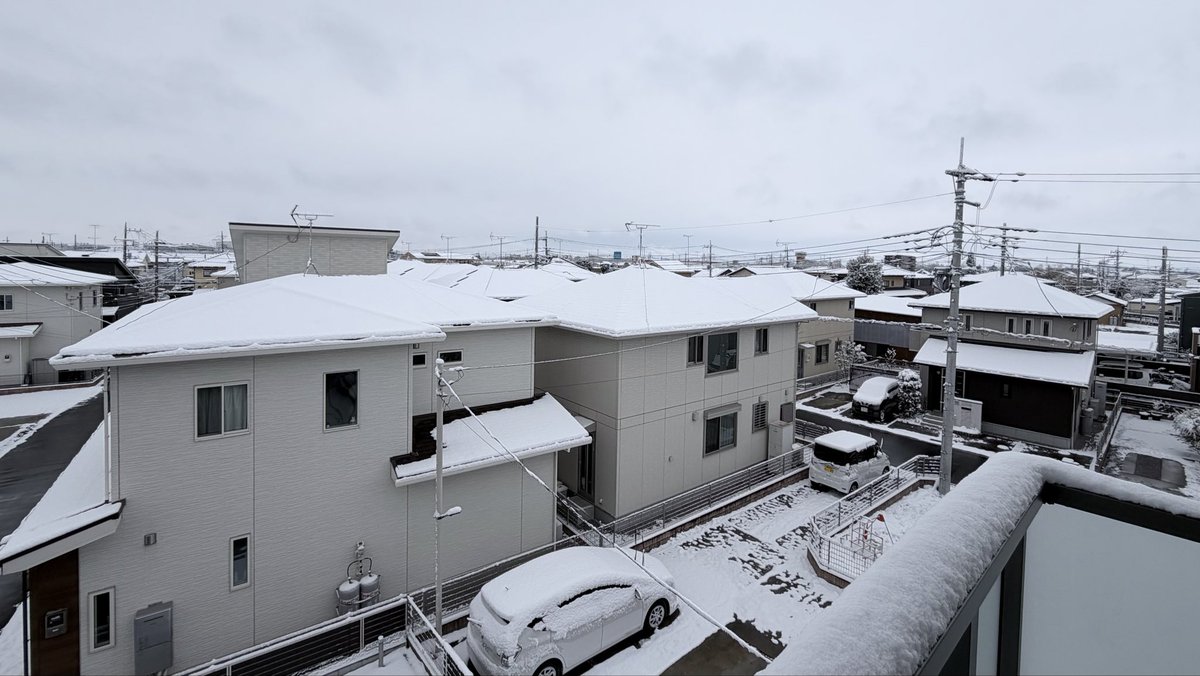 大雪の中ジムまで行った自分えらい
今日は久しぶりの脚トレ(成長感じなさすぎ。。。